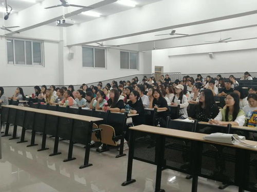 2019级中文专业安全教育会议 北京文化传媒